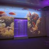Проекционный дизайн "Виртуальная реальность" базовый комплект 500 анимаций - «globural.ru» - Тихорецк