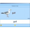Английский язык. Освоение клавиатуры - «globural.ru» - Тихорецк