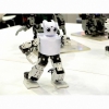 Человекоподобный робот Robotis mini (darwin-mini) - «globural.ru» - Тихорецк