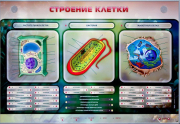 Стенды для кабинета биологии - «globural.ru» - Тихорецк