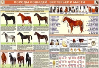 Комплект плакатов "Служебное коневодство" - «globural.ru» - Тихорецк