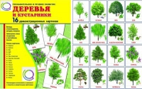 Демонстрационные карточки "Деревья и кустарники" - «globural.ru» - Тихорецк
