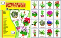 Демонстрационные карточки "Комнатные растения" - «globural.ru» - Тихорецк