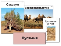 Модель-аппликация "Природные зоны России" - «globural.ru» - Тихорецк