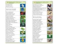Комплект карточек (10) "Обучающий калейдоскоп. Природа" - «globural.ru» - Тихорецк