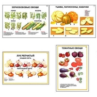 Плакаты ПРОФТЕХ "Ассортимент овощных культур" (12 пл, винил, 70х100) - «globural.ru» - Тихорецк