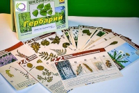 Гербарий к курсу основ общей биологии - «globural.ru» - Тихорецк