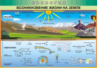 Таблица Возникновение жизни на Земле 1000*1400 винил - «globural.ru» - Тихорецк