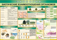 Таблица Биотические взаимоотношения организмов 1000*700 (винил) - «globural.ru» - Тихорецк
