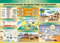 Таблица Антропогенное воздействие на биосферу 1000*700 винил - «globural.ru» - Тихорецк
