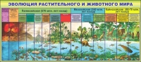 Стенд "Эволюция растительного и животного мира" - «globural.ru» - Тихорецк