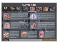 Стенд "Курение" (вариант 1) - «globural.ru» - Тихорецк