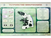 Электрифицированный стенд "Устройство микроскопа и правила работы c ним" - «globural.ru» - Тихорецк