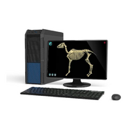 Макет масштабный «Скелет Лошади» Масштаб 1:2 - «globural.ru» - Тихорецк