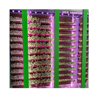 Вертикальная ферма "Моя Микрозелень" комплектация Школьная - «globural.ru» - Тихорецк