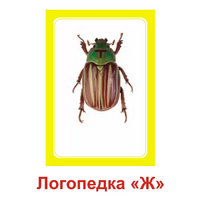 Логопедка "Ж" (логопедические карточки) - «globural.ru» - Тихорецк