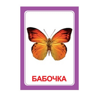 Логопедка "Ч" (логопедические карточки) - «globural.ru» - Тихорецк