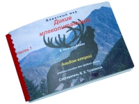 Пособие для слабовидящих "Дикие млекопитающие" - «globural.ru» - Тихорецк