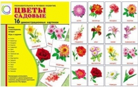 Демонстрационные карточки "Цветы садовые" - «globural.ru» - Тихорецк