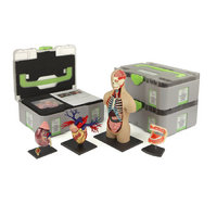 Учебный набор "Анатомия в деталях" - «globural.ru» - Тихорецк