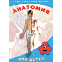 DVD  Анатомия для детей - «globural.ru» - Тихорецк