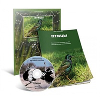 Электронное наглядное пособие «Птицы» - «globural.ru» - Тихорецк