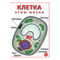 DVD Клетка - "атом жизни" - «globural.ru» - Тихорецк