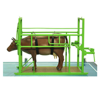 Наглядный макет «Методы и устройства для фиксации КРС» - «globural.ru» - Тихорецк