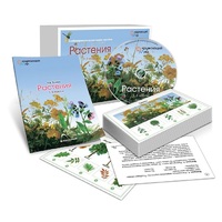 Комбинированное наглядное пособие «Растения» - «globural.ru» - Тихорецк