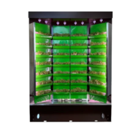 Вертикальная ферма "Моя Микрозелень" комплектация "Театро настольная" - «globural.ru» - Тихорецк