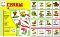 Демонстрационные карточки  "Грибы съедобные и не съедобные" - «globural.ru» - Тихорецк