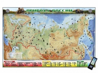 Электронно-информационный (маркерный) стенд "Природа России" адаптивный, с сенсорным пультом управления и планшетом со шрифтом Брайля (география) - «globural.ru» - Тихорецк