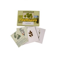 Гербарий "Деревья и кустарники" (22 вида, с иллюстрациями) - «globural.ru» - Тихорецк