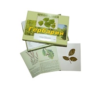 Гербарий "Дикорастущие растения" (30 видов, с иллюстрациями) - «globural.ru» - Тихорецк