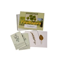 Гербарий "Лекарственные растения" (22 вида, с иллюстрациями) - «globural.ru» - Тихорецк
