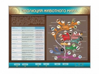 Интерактивный электрифицированный стенд "Эволюция животного мира" - «globural.ru» - Тихорецк