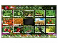 Комплект оборудования "Живой уголок" (растения) - «globural.ru» - Тихорецк