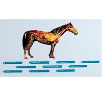 Стенд-планшет светодинамический "Изучение кровеносной системы сельскохозяйственных животных" со сменными панелями - «globural.ru» - Тихорецк