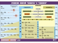 Таблица демонстрационная "Сравнение понятий изомер и гомолог" (винил 100х140) - «globural.ru» - Тихорецк