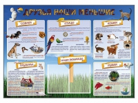Стенд-уголок "Друзья наши меньшие" - «globural.ru» - Тихорецк