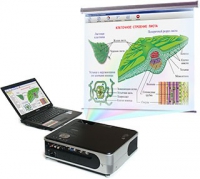 Диск с электронными плакатами, презентациями (электронный учебник) по биологии (150 тем)  - «globural.ru» - Тихорецк