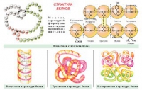 Плакаты и таблицы по общей химии - «globural.ru» - Тихорецк