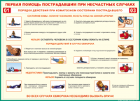 Таблица Порядок действий при коматозном состоянии пострадавшего 1000*1400 винил - «globural.ru» - Тихорецк