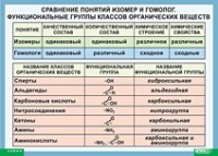 Химия. Сравнение понятий изомер и гомолог. Функциональные группы классов органических веществ (винил) - «globural.ru» - Тихорецк