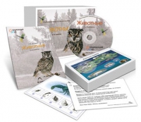 Комбинированное наглядное пособие «Животные» - «globural.ru» - Тихорецк