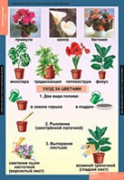 Окружающий мир 1 класс (комплект таблиц) - «globural.ru» - Тихорецк