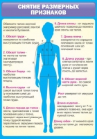 Стенд "Снятие мерок" (вариант 2) - «globural.ru» - Тихорецк