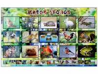 Комплект оборудования "Живой уголок" (животные) с тифлопереводом и сурдокомментариями - «globural.ru» - Тихорецк
