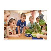 Обучающий комплект экологической направленности "Сити-фермер 2.0 Детский сад" 20 человек - «globural.ru» - Тихорецк