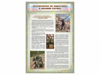 Стенд "Мероприятия обязательной подготовки граждан к военной службе" - «globural.ru» - Тихорецк